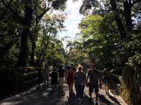 ⛩️ 京都金閣寺｜閃耀金光的夢幻世界遺產 