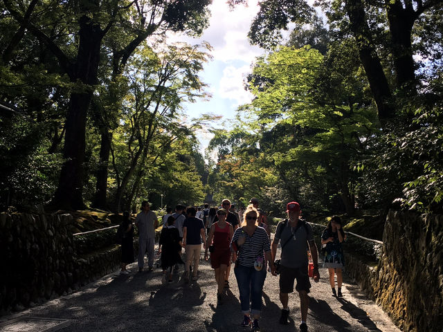⛩️ 京都金閣寺｜閃耀金光的夢幻世界遺產 