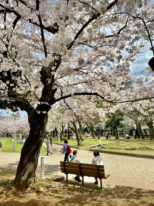 A Local-Style Day in Kinshicho, Tokyo🍶
