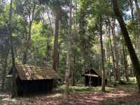 อุทยานแห่งชาติภูหินร่องกล้า