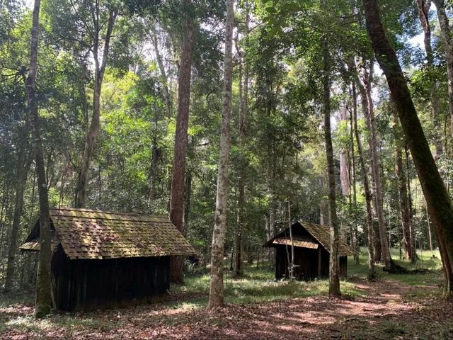 อุทยานแห่งชาติภูหินร่องกล้า