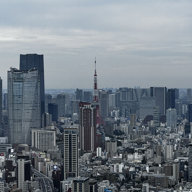 야경은 실패… 그래도 좋았던 시부야 스카이🏙️