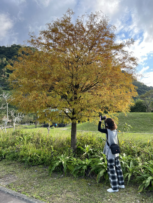 石門水庫｜北台灣四季皆宜的湖光山色與生態樂園 