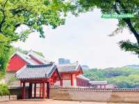 Jongmyo: A Journey Through Korea's Royal History