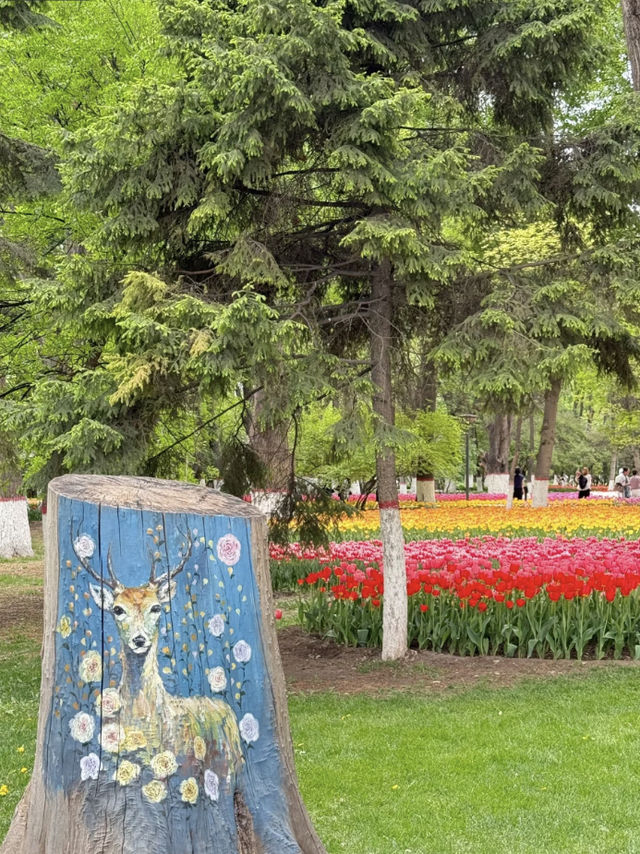 💐 Spring vibes in Xining? Pure romance~
