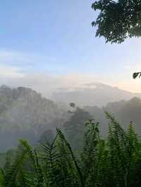 กางเตนท์เขาพะเนินทุ่งหน้าฝน