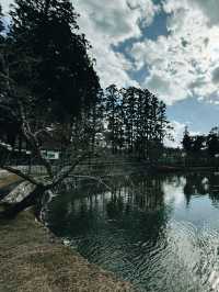 大阪｜交通攻略｜奈良經典旅遊路線