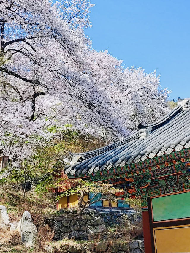 The Beauty of Daewonsa