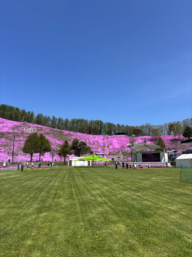 ひがしもこと芝桜公園で春の絶景体験！ピンクのじゅうたんに包まれる感動スポット
