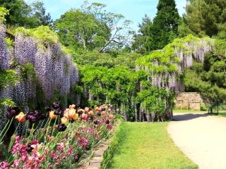 Sunshine, Secrets, and Blooms at Calke Abbey – A National Trust Gem