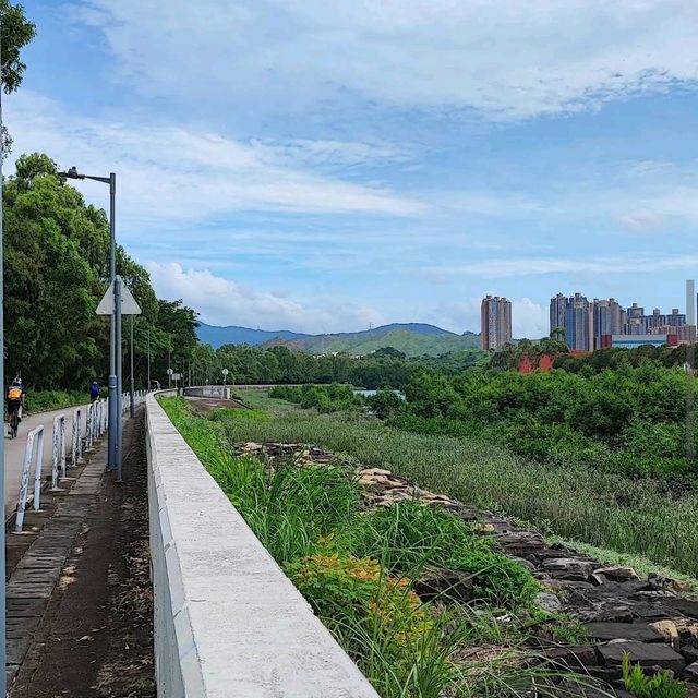南生圍（Nam Sang Wai）