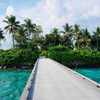 The Ritz-Carlton Maldives: A Dream in Every Detail