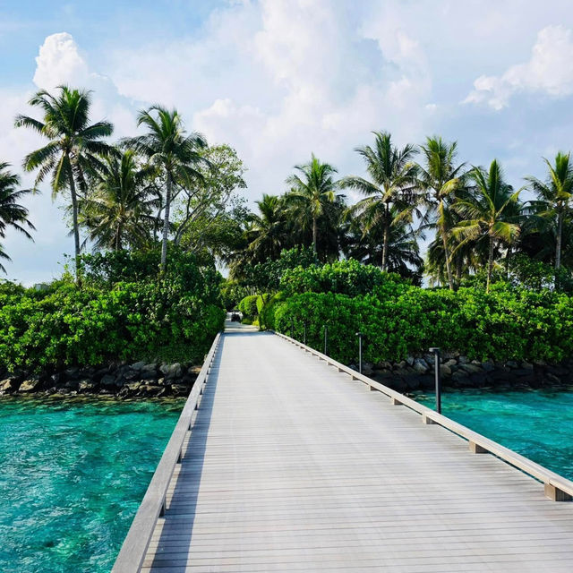 The Ritz-Carlton Maldives: A Dream in Every Detail