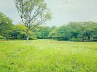 Sarue-onshi Park – A Serene Retreat in Tokyo