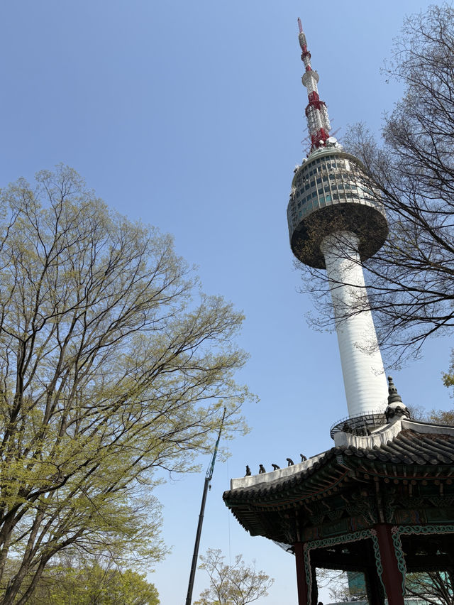 Your Ultimate 1-Day Seoul Itinerary 