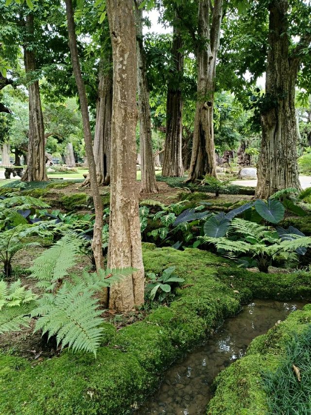 Changthong Heritage Park – A Living Museum of Ancient Trees in Chiang Mai