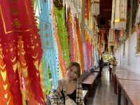 A Day with Elephants in Lampang