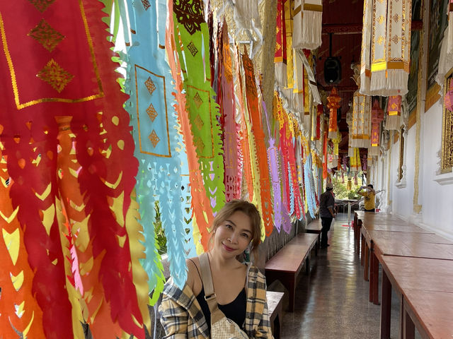 A Day with Elephants in Lampang