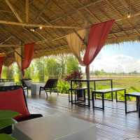 Thara farm and eatery 🍃🌾