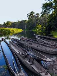 Premium accommodation in Chitwan area