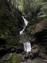 Nature Thrills