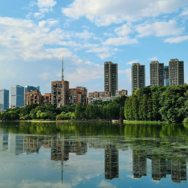 ～長沙公園～端午綠蔭行～