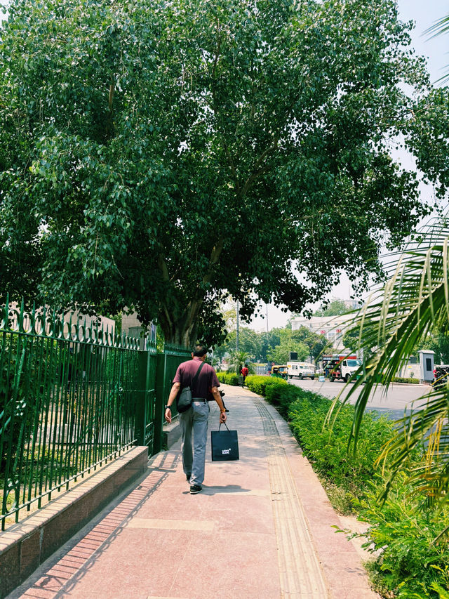 🌳✨【都会の真ん中に癒しのオアシス】 セントラルパーク – Central Park, Connaught Place