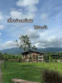 ไร่ปางวัว น่าน