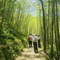 走進增城千龍溝：賞300米銀瀑飛騰，品山野自然之韻