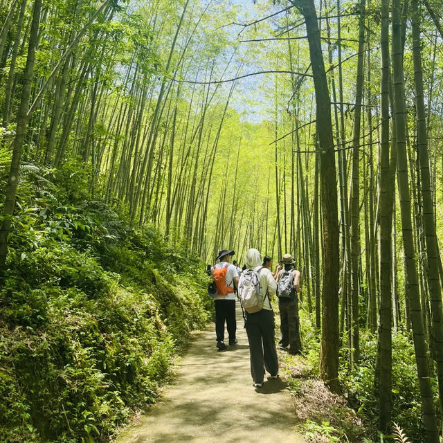 走進增城千龍溝：賞300米銀瀑飛騰，品山野自然之韻