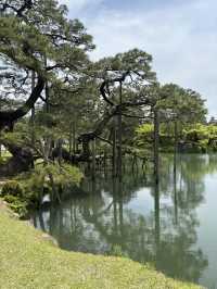 【石川県・金沢市】大庭園！兼六園🌲