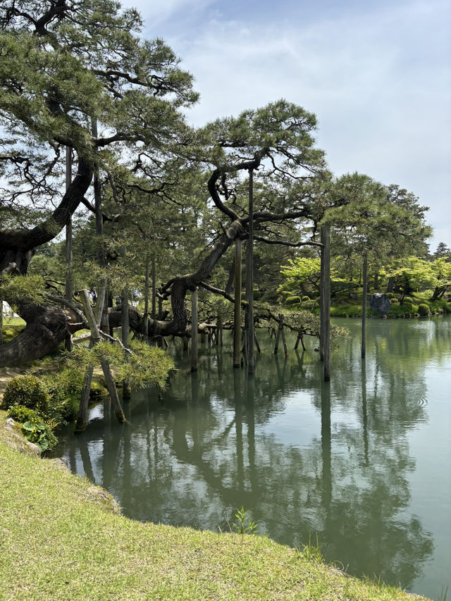 【石川県・金沢市】大庭園！兼六園🌲