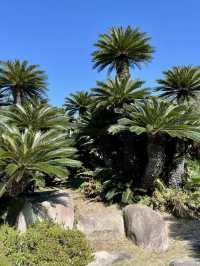 A Slow Day at Sorakuen Garden🌴