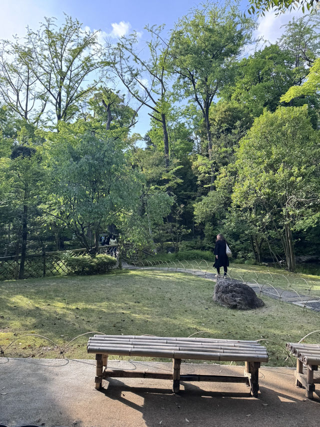 도쿄 오모테산도 정원이 멋진 미술관,네즈미술관
