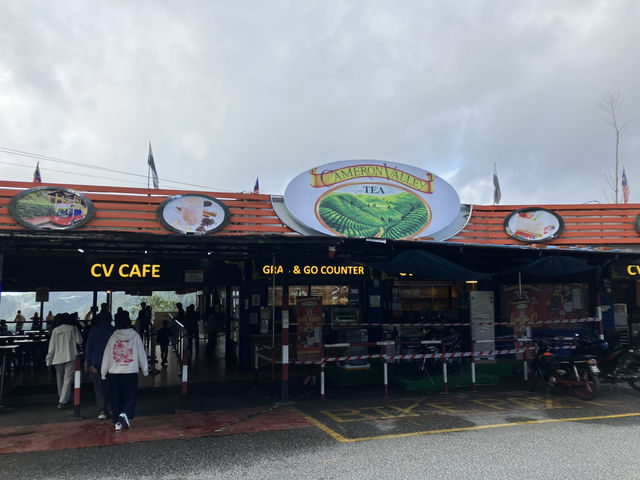 馬來西亞🇲🇾一盞茶一段風景 金馬倫茶園Cameron Valley Tea的晨時風光