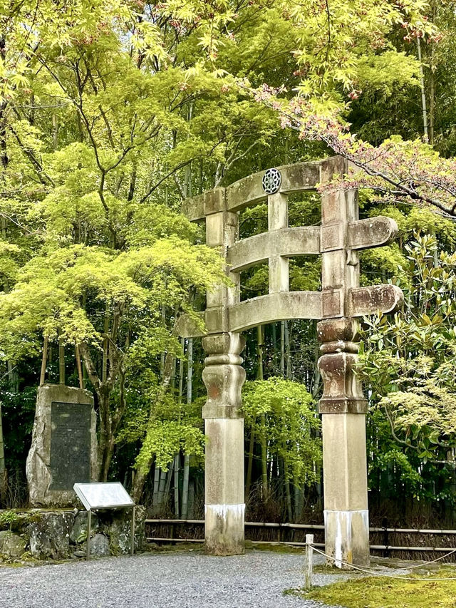 A Peaceful Day Exploring Oku-Saga, Kyoto 🌿