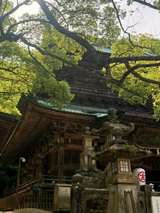 香川｜一日元求心願達成的旭社 40年才完工的日本重要文化財