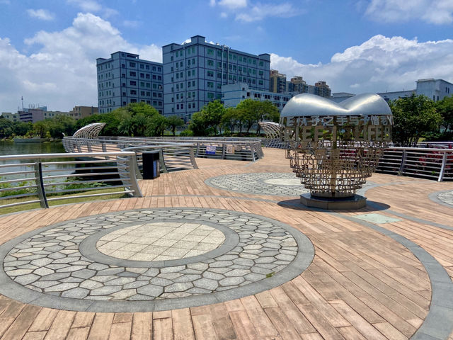 深圳萬豐湖濕地公園✨🌴城市中的自然綠洲🏞️
