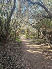 Great Otway National Park – VIC
