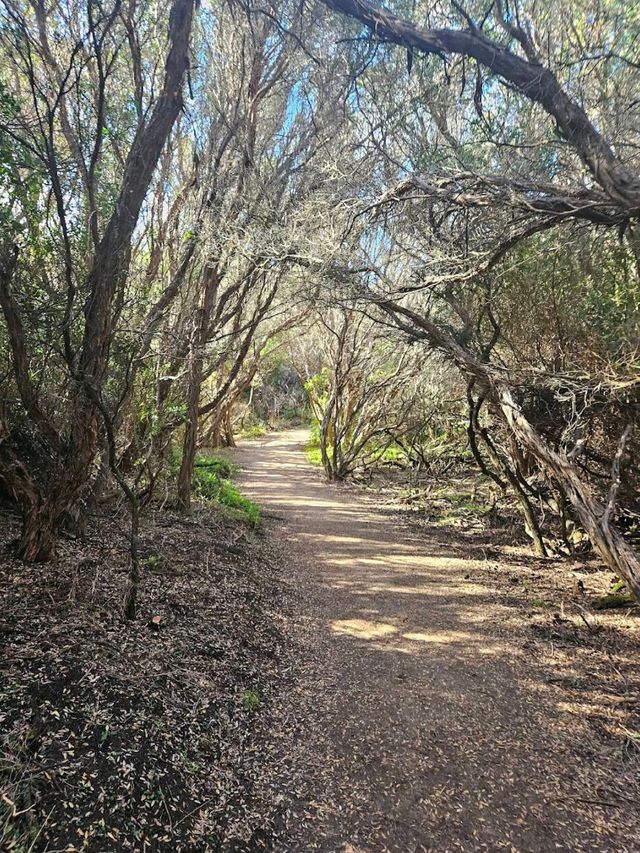 Great Otway National Park – VIC