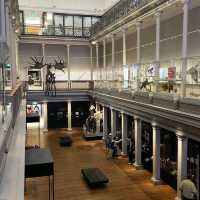 Australian Museum – Sydney, NSW