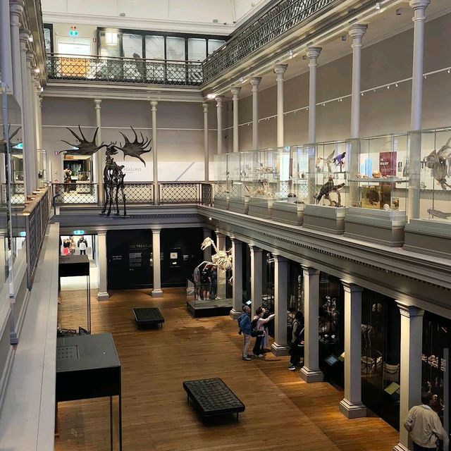 Australian Museum – Sydney, NSW