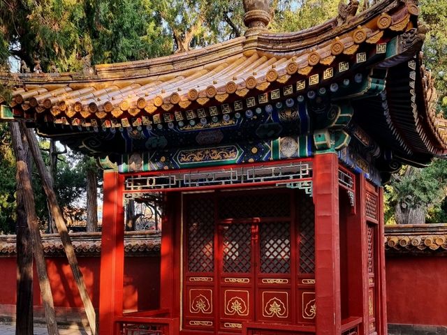 The Dragon's Sanctuary: Unveiling the Forbidden City