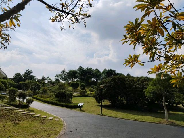 🪴Citywalk 東莞植物園