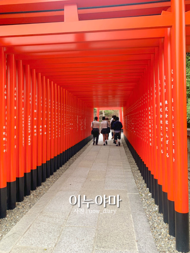 🌸 나고야 근교 1일 소도시 여행 이누야마 💛