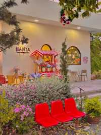 คาเฟ่ดอกไม้และร้านอาหารฟีลครอบครัวในสวน 🌸🌷