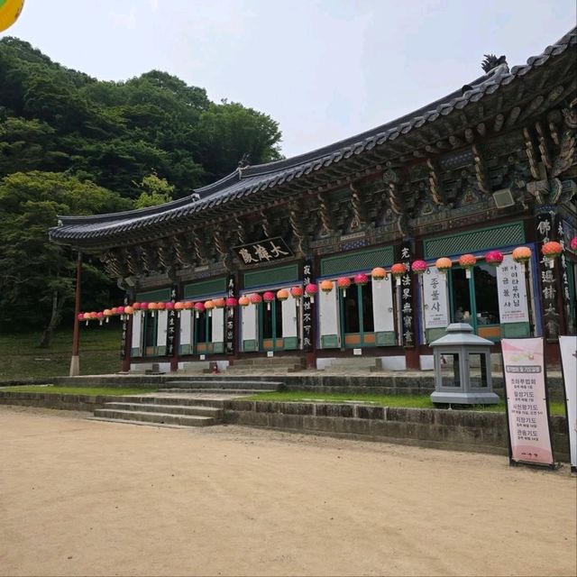 A Day at Baegyangsa Temple