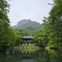 A Day at Baegyangsa Temple