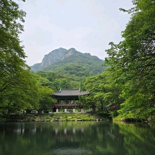 A Day at Baegyangsa Temple