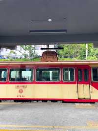 懷念的阿里山森林小火車
